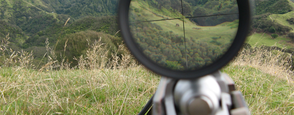 Sniper